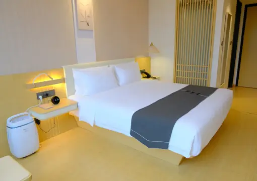 Dark Xiangju Landscape Double Room