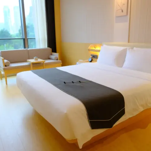 Dark Xiangju Landscape Double Room