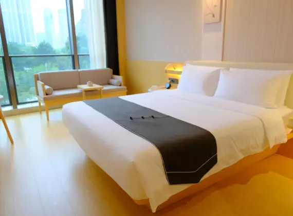 Dark Xiangju Landscape Double Room