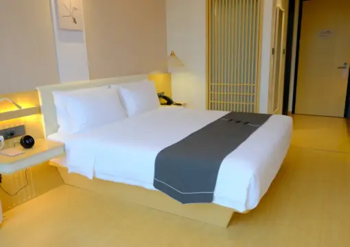Dark Xiangju Landscape Double Room
