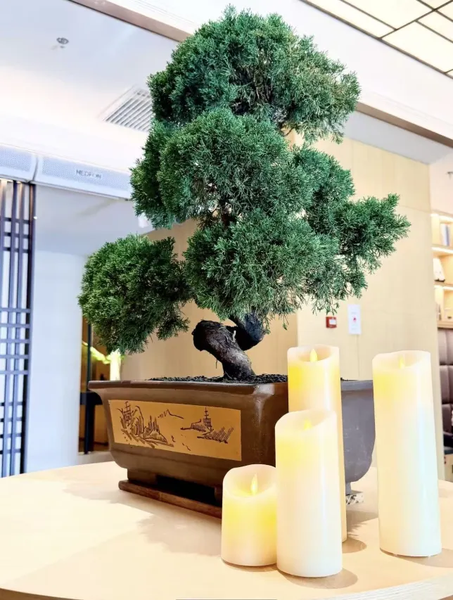 Hidden Hotel Shanghai People's Square Nanjing Road Pedestrian Street Branch (25)